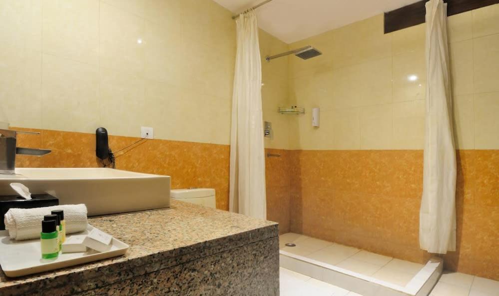 Zenith - Delhi Airport Hotel