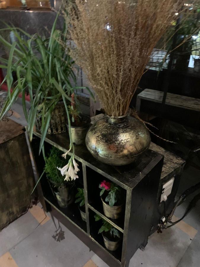 Hotel Zenith - Delhi Airport 4*